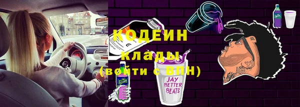 крисы Армянск