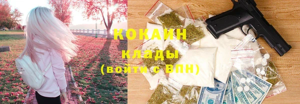крисы Армянск