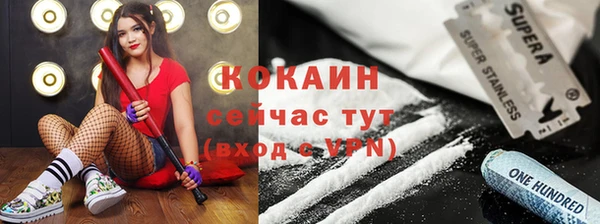крисы Армянск